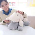 15d303039ddfd291c6bfc02755c8bbbd